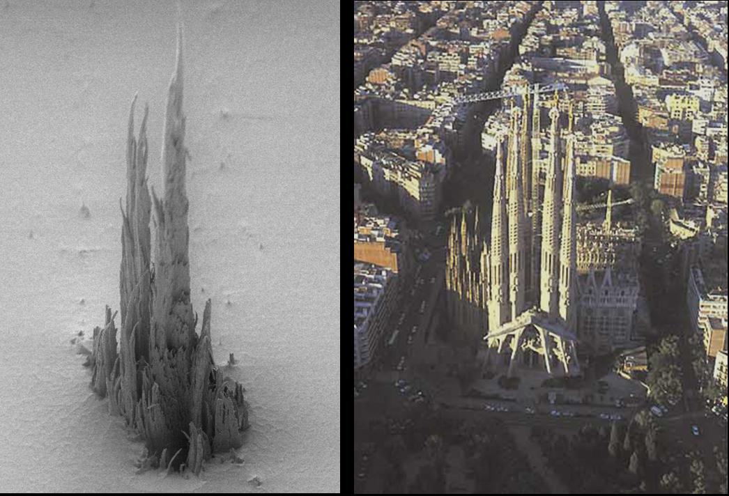 ifc-gaudi-sagrada-familia