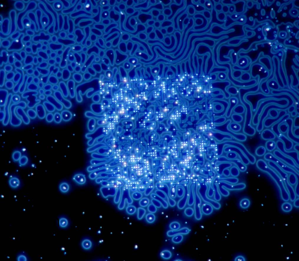 ifc-rhapsody-in-blue